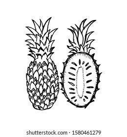 Pineapple vector hand drawn illustration. Icon
