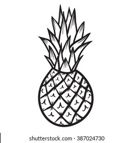 Pineapple Vector Hand Drawn Illustration Icon 
