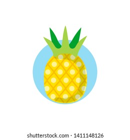 Pineapple vector icon isolated on white background. Simple flat style. Summer, exotic, tropical concept. 10 EPS illustration.