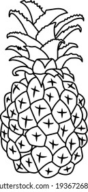 Pineapple vector icon line art