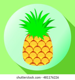 pineapple vector icon made in flat design style