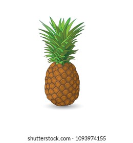 Pineapple vector illustration