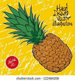 pineapple vector illustration