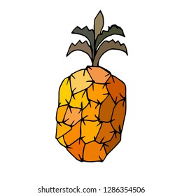 Pineapple. Vector illustration.