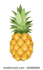 Pineapple. Vector illustration.