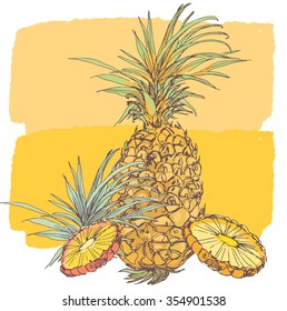 Pineapple vector illustration 