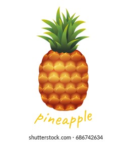 Pineapple, Vector Illustration