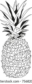 Pineapple vector illustration