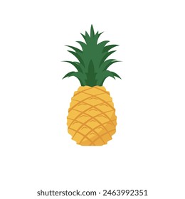 Pineapple vector illustration, 2D flat pinapple tropical summer fruit colored vector art isolated on a white background