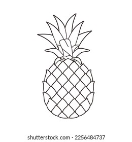 Pineapple vector illustration black and white colour