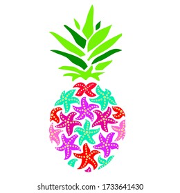 Pineapple vector illustration. Colorful starfish pineapple on a white background.