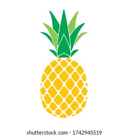 Pineapple Vector Illustration Design Tropical Fruit