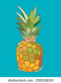 Pineapple vector illustration. Drawing isolated on turquoise blue background.