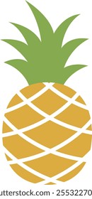 The Pineapple vector illustration elements