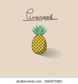 Pineapple Vector illustration and free hand word " Pineapple"on cream background,Tropical fruit.