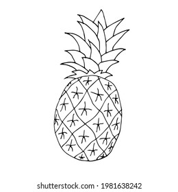 Ananas, Vektorgrafik, handgezeichnet