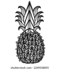 Pineapple vector illustration. Vector hand drawn abstract pineapple ananas isolated on white. Fresh tropical food black and white illustration.