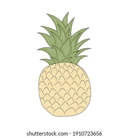 Pineapple vector illustration, isolated colored hand drawn linear style