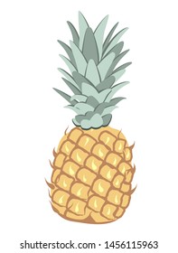 Pineapple vector illustration isolated. Pineapple flat icon 