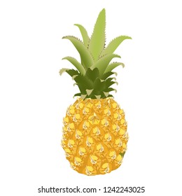 Pineapple. Vector illustration. Isolated on a white background.