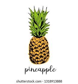 Pineapple vector illustration isolated on white background