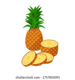 Ilustración del vector de piña aislada en fondo blanco. Jugosa fruta tropical exótica - piña entera y trozos cortados.