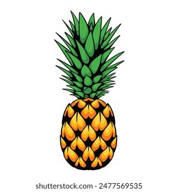Pineapple vector illustration isolated on a white background