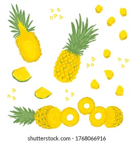 Pineapple vector illustration set. Ananas hand drawn collection. Whole, half pineapple with leaves, cut into pieces. Design template