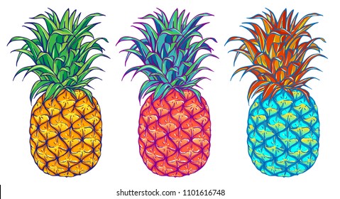 Pineapple vector illustration set. Exotic tropical fruit. Hand drawn. Pop art. Perfect for invitations, greeting cards, posters, textile prints.
