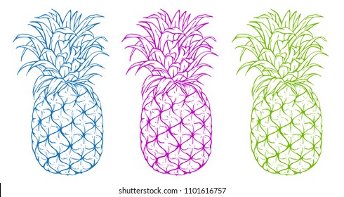 Pineapple vector illustration set. Exotic tropical fruit. Hand drawn. Pop art. Perfect for invitations, greeting cards, posters, textile prints.
