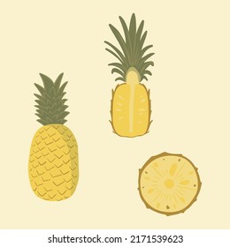 Pineapple vector illustration, set of hand-drawn pineapple clip arts, summer design