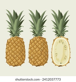 Pineapple vector illustration set. Isolated on white background.