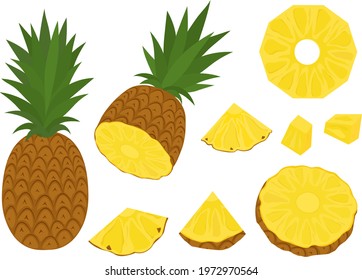 Pineapple vector illustration. Set summer fruits slices