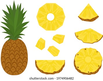 Pineapple vector illustration. Set summer fruits slices