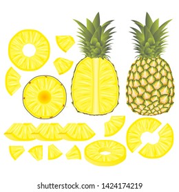 Pineapple vector illustration set. Whole, sliced and halved Pineapple graphics.