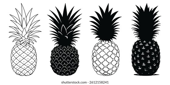 pineapple vector illustration silhouette with white background. 