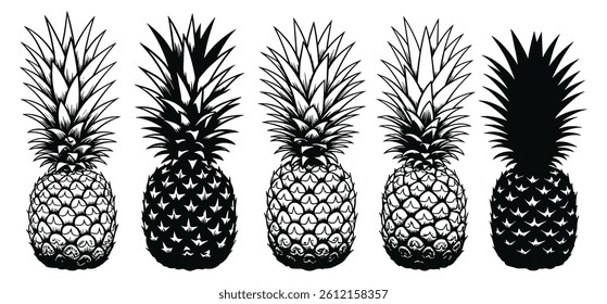 pineapple vector illustration silhouette with white background. 