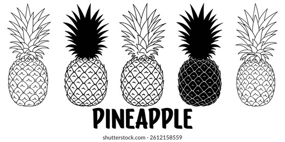 pineapple vector illustration silhouette with white background. 