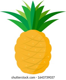 Pineapple vector illustration , Tropical fruit