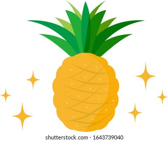 Pineapple vector illustration , Tropical fruit