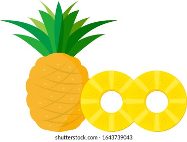 Pineapple vector illustration , Tropical fruit