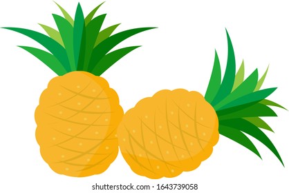 Pineapple vector illustration , Tropical fruit