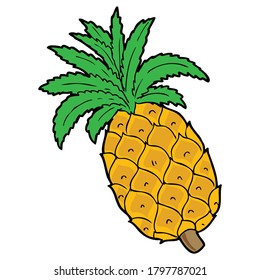 Pineapple vector ilustration,isolated on white background for children education,top view