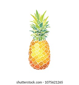 Pineapple vector isolated on white background. Vector illustration. Hand drawn