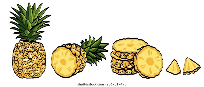 pineapple vector  isolated on white background.	