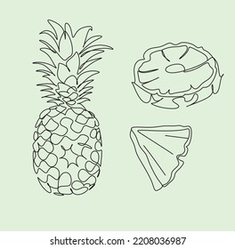 Ananas, Vektorgrafik der Linie. Tropische Früchte, Zeichnungsgrafik