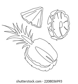 pineapple vector line art. Tropical Fruits line drawing illustration