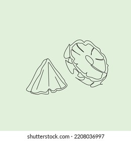 pineapple vector line art. Tropical Fruits line drawing illustration