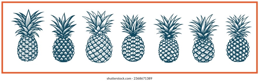 pineapple vector logo style elements set