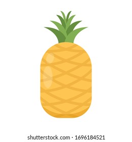 Pineapple vector. Pineapple on white background.